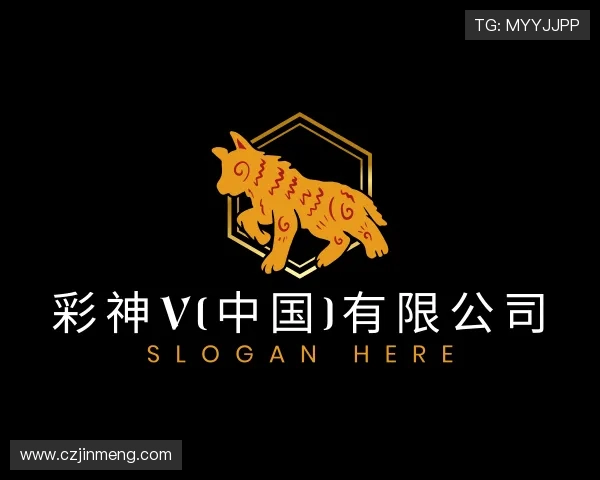 解读彩神v(中国)有限公司